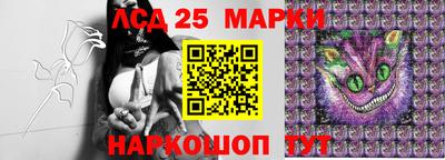 спайс Славгород
