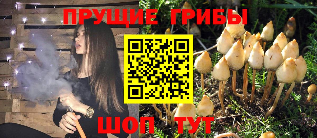 Псилоцибиновые грибы ЛСД Нижний Новгород