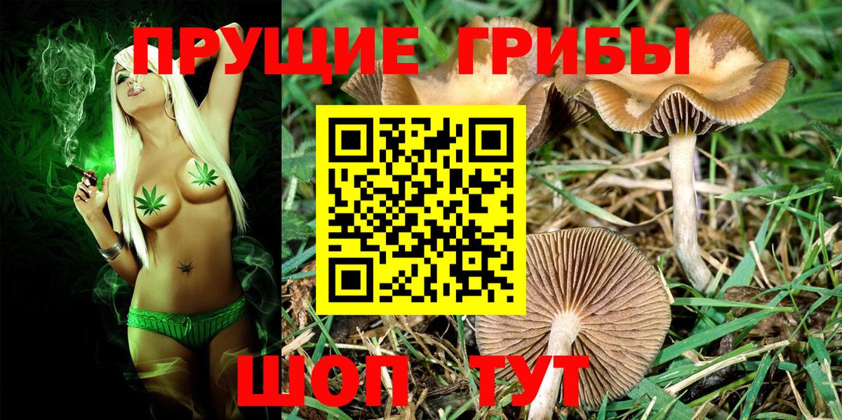 Нижний Новгород  Галлюциногенные грибы Psilocybine cubensis  Вход с VPN  Галлюциногенные грибы мицелий 